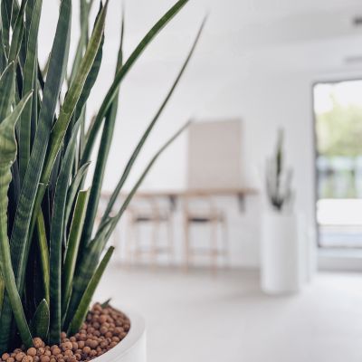 Inspirierender Arbeitsraum im Coworking Space - Entdecke die Vorteile gemeinschaftlicher Arbeitsumgebungen.